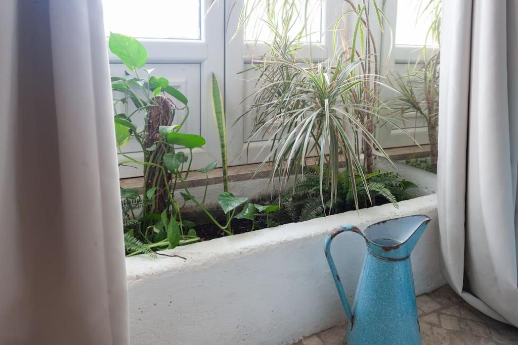 Apartment A Boemia Street Studio *
